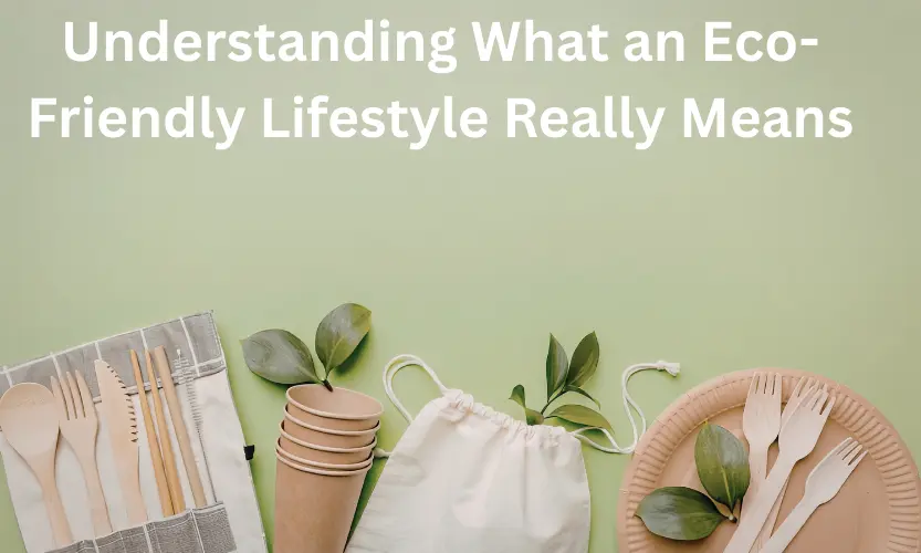 Understanding What an Eco-Friendly Lifestyle Really Means