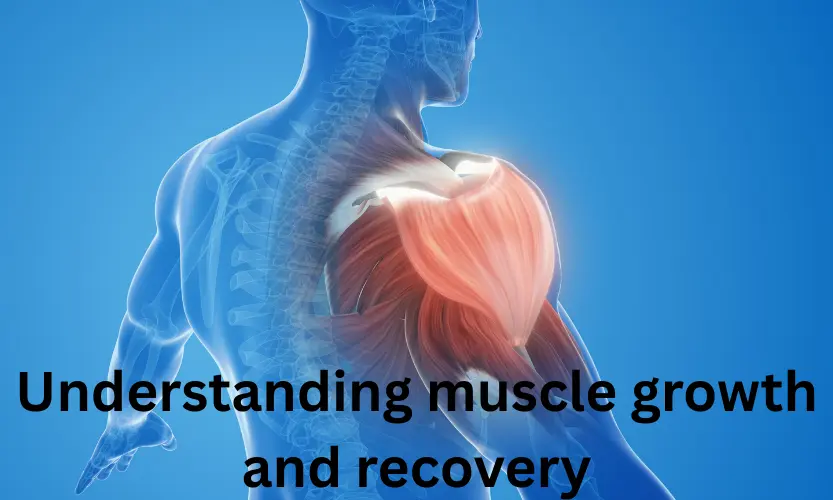 Understanding muscle growth and recovery