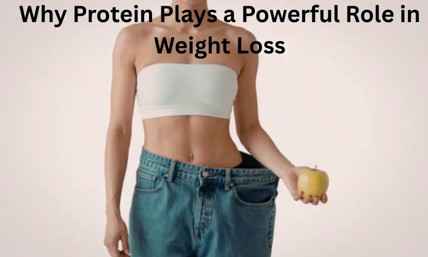 Why Protein Plays a Powerful Role in Weight Loss